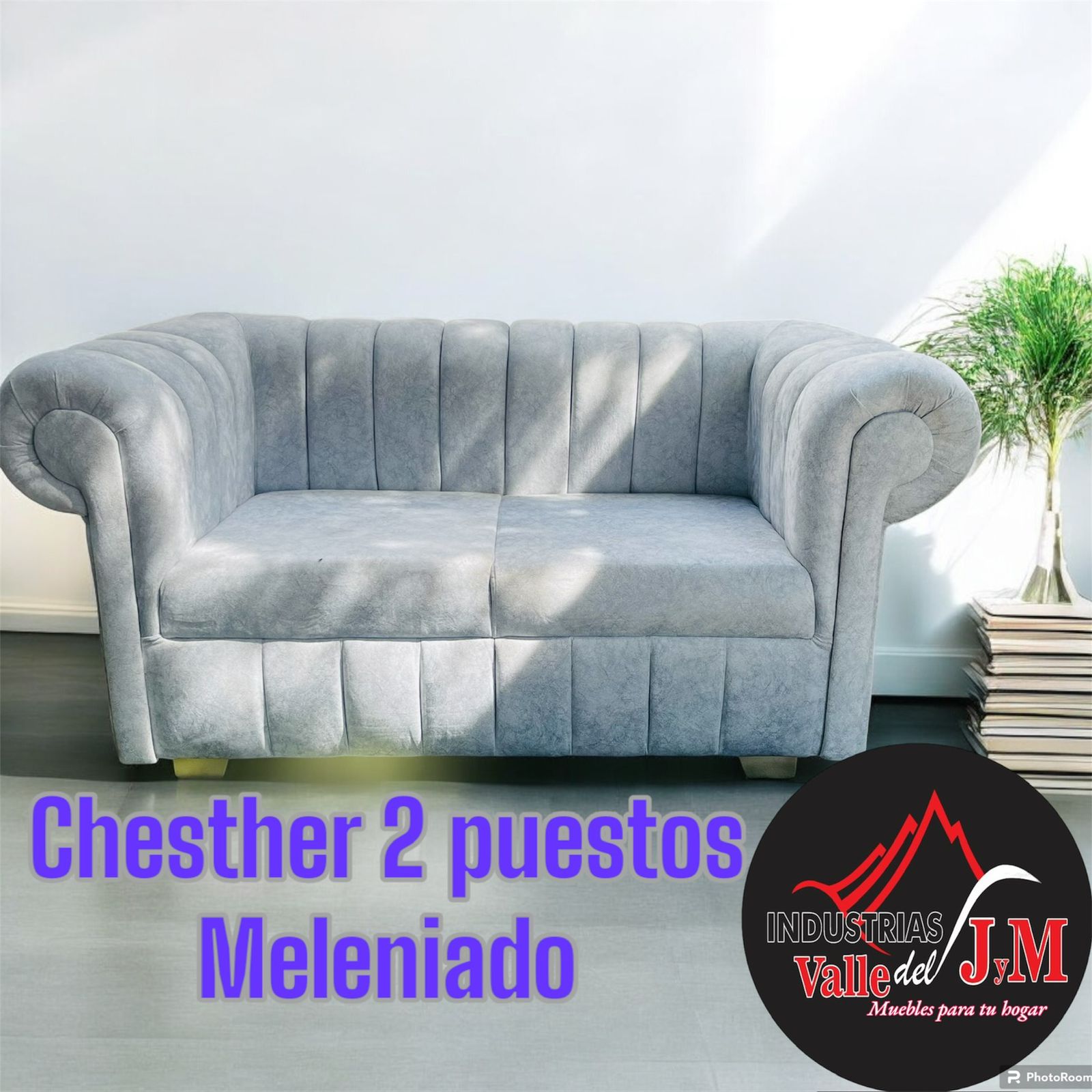 Sofa 2 Puestos Meleniado